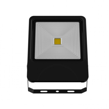 Private Mold 50W COB Outdoor LED Flutlicht